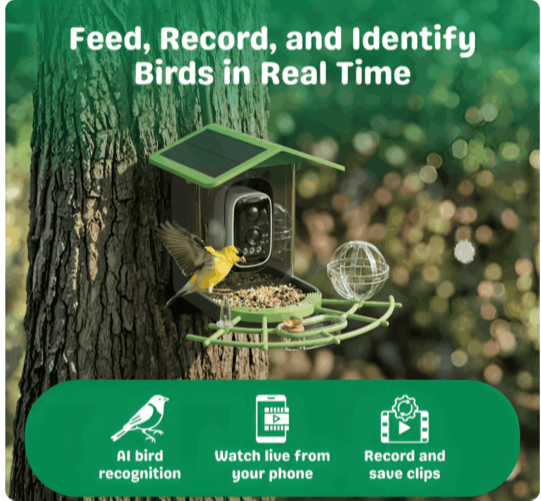 What is Chirp Sense